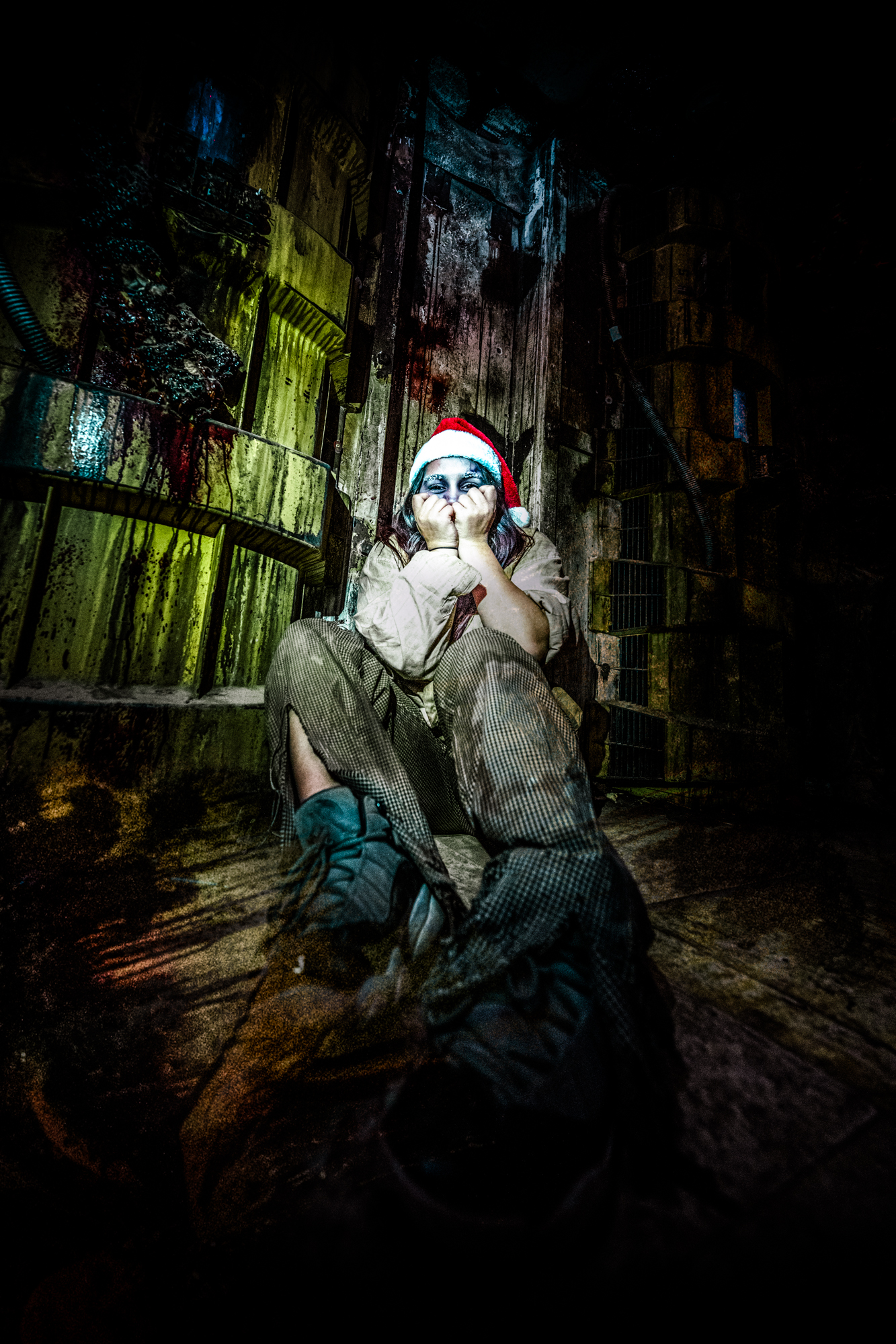 Field of Screams Creepy Christmas Pictures