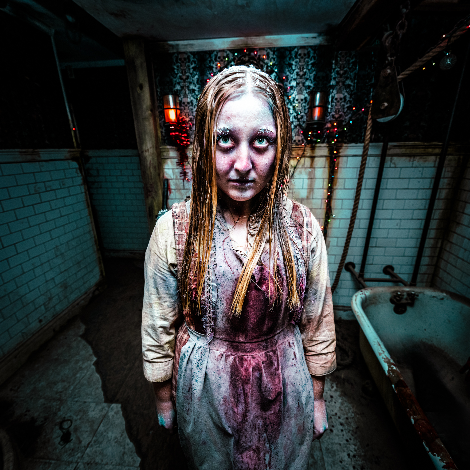 Field of Screams Creepy Christmas Pictures