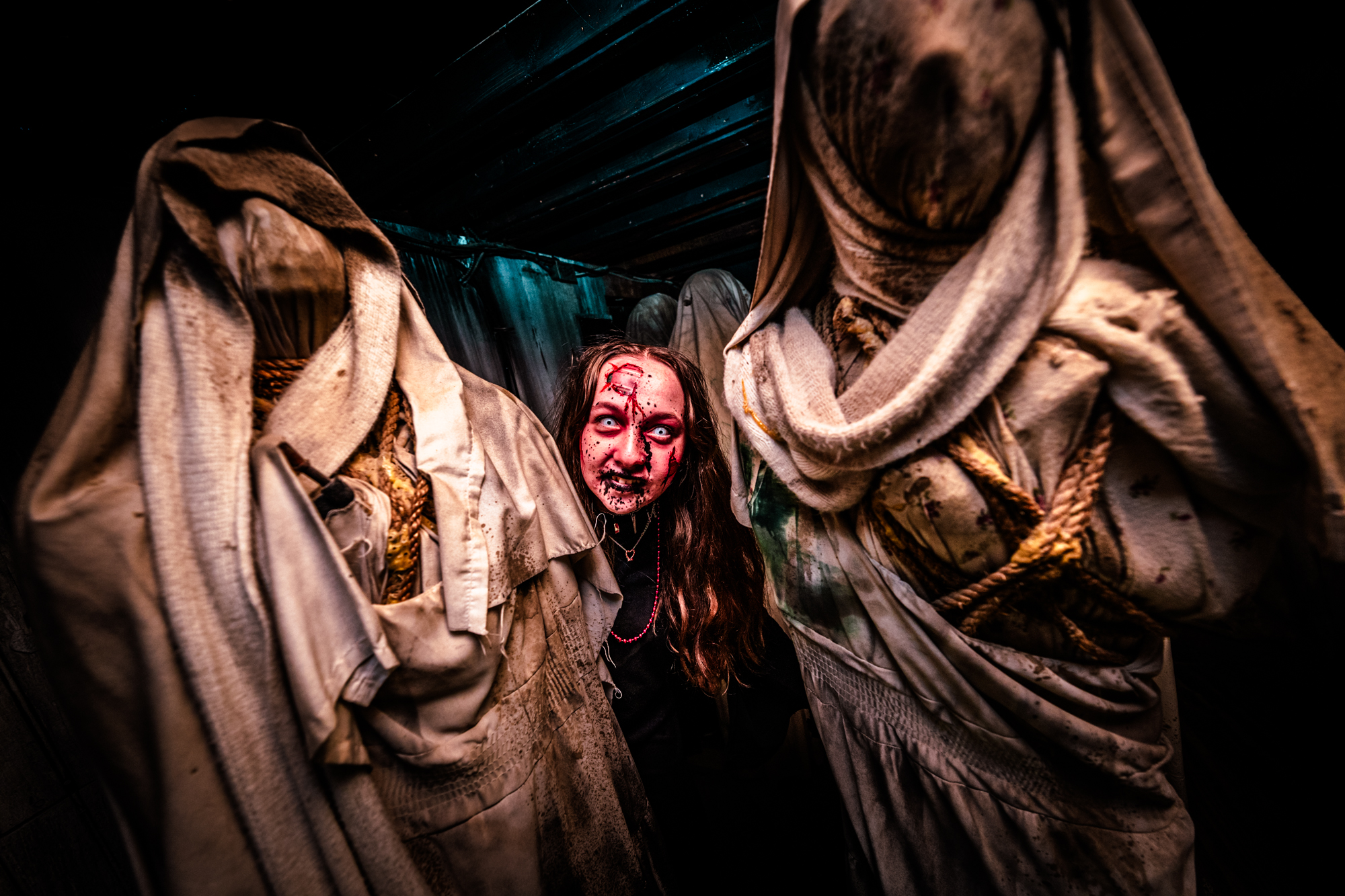 Field of Screams Creepy Christmas Pictures