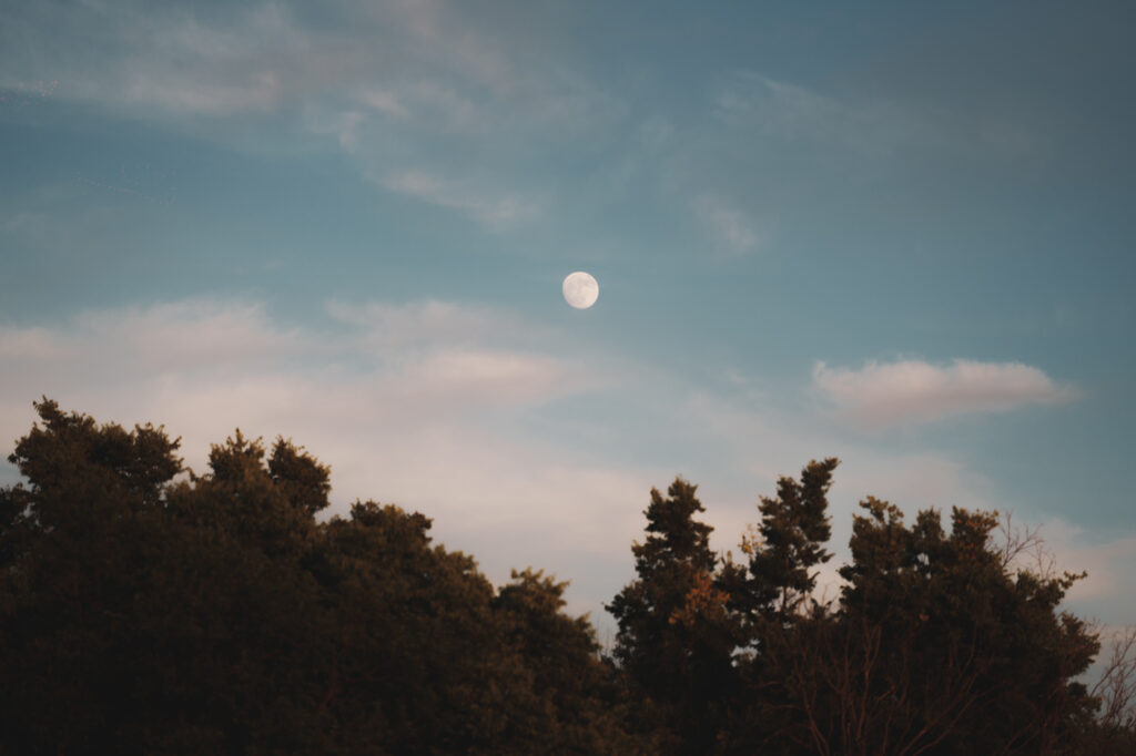 Pictures of Golden Hour Engagement session at the White Cliffs of Conoy