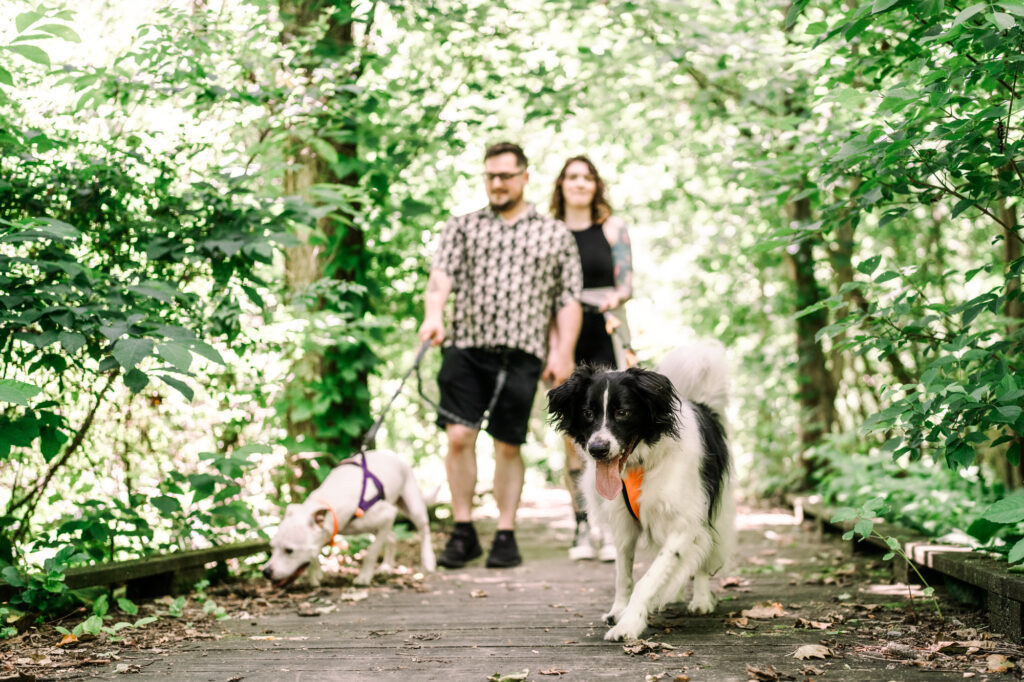 Hummel Trail in Hummelstown, Pennsylvania Engagement Session Photos