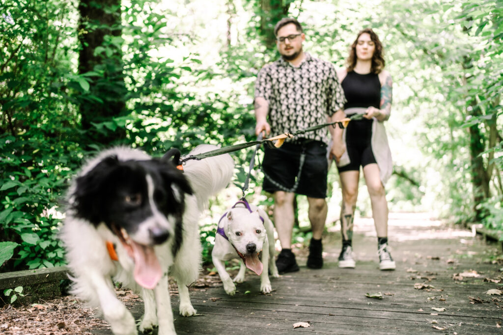 Hummel Trail in Hummelstown, Pennsylvania Engagement Session Photos
