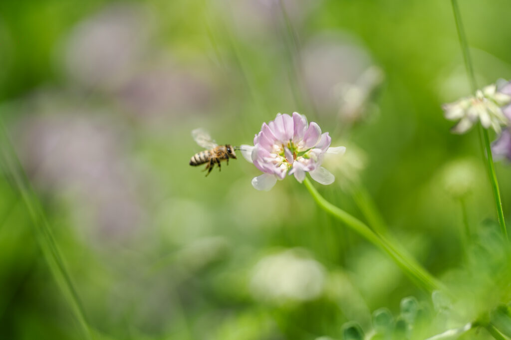 Hummel Trail in Hummelstown, Pennsylvania Engagement Session Photos