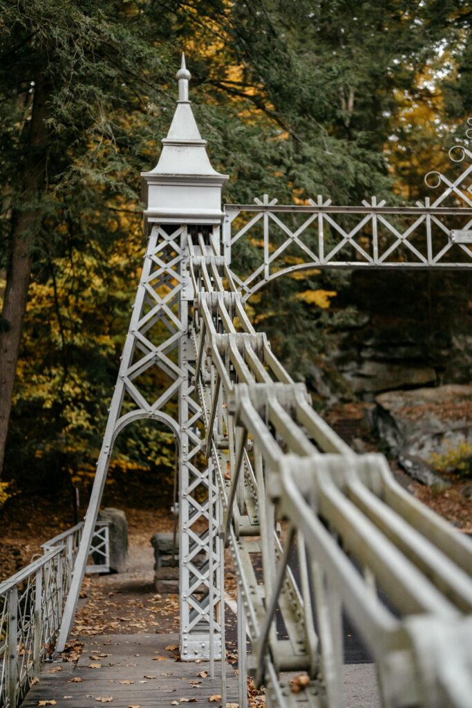 Engagement session at Mill Creek Park in Youngstown, Ohio