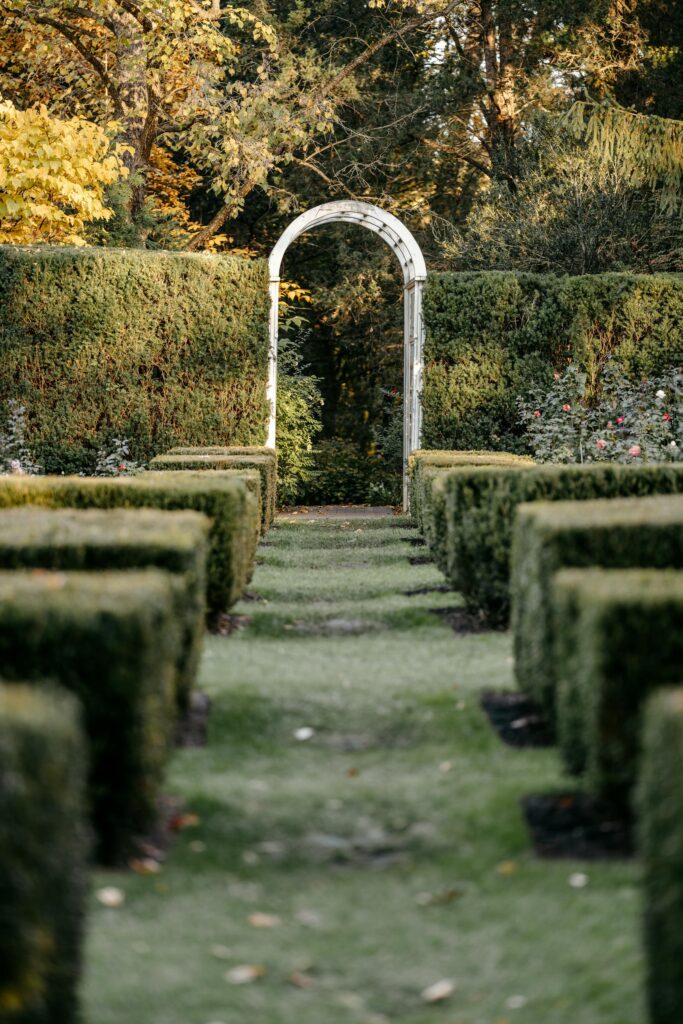 Engagement session at Mill Creek Park in Youngstown, Ohio
