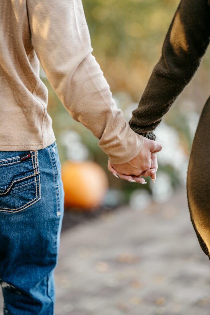Engagement session at Mill Creek Park in Youngstown, Ohio