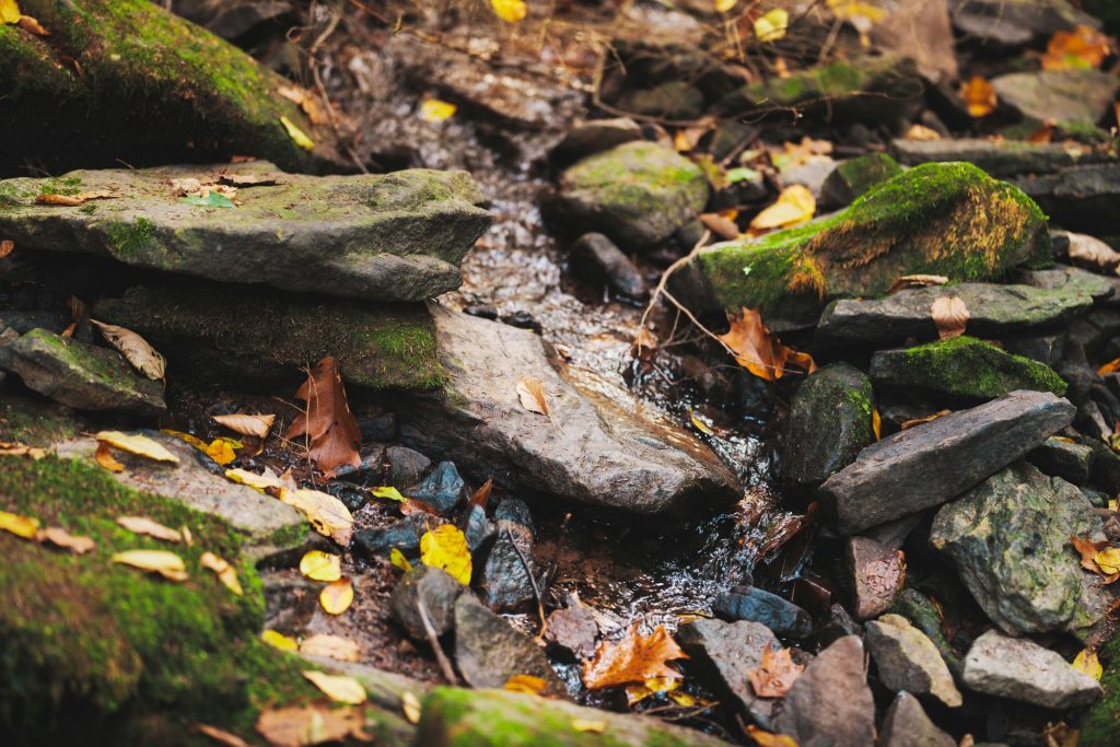 Trough Creek State Park Wedding