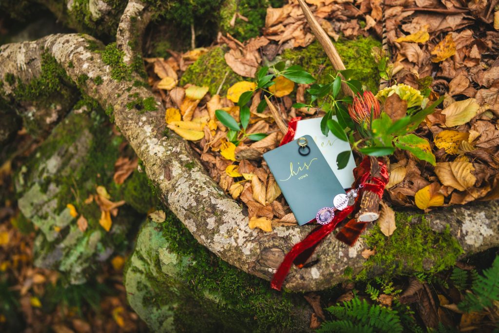 Trough Creek State Park Wedding