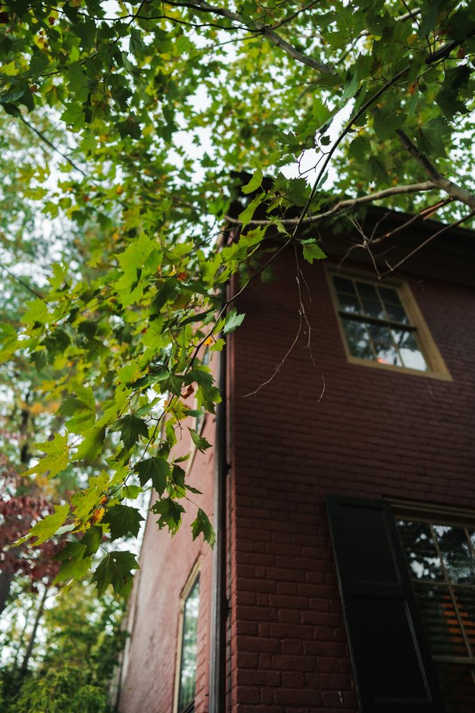 Marietta PA Engagement Session